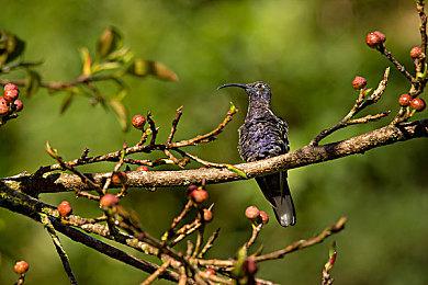 18+喜剧冒险游戏《家庭派对》现已在Steam正式发售 获特别好评